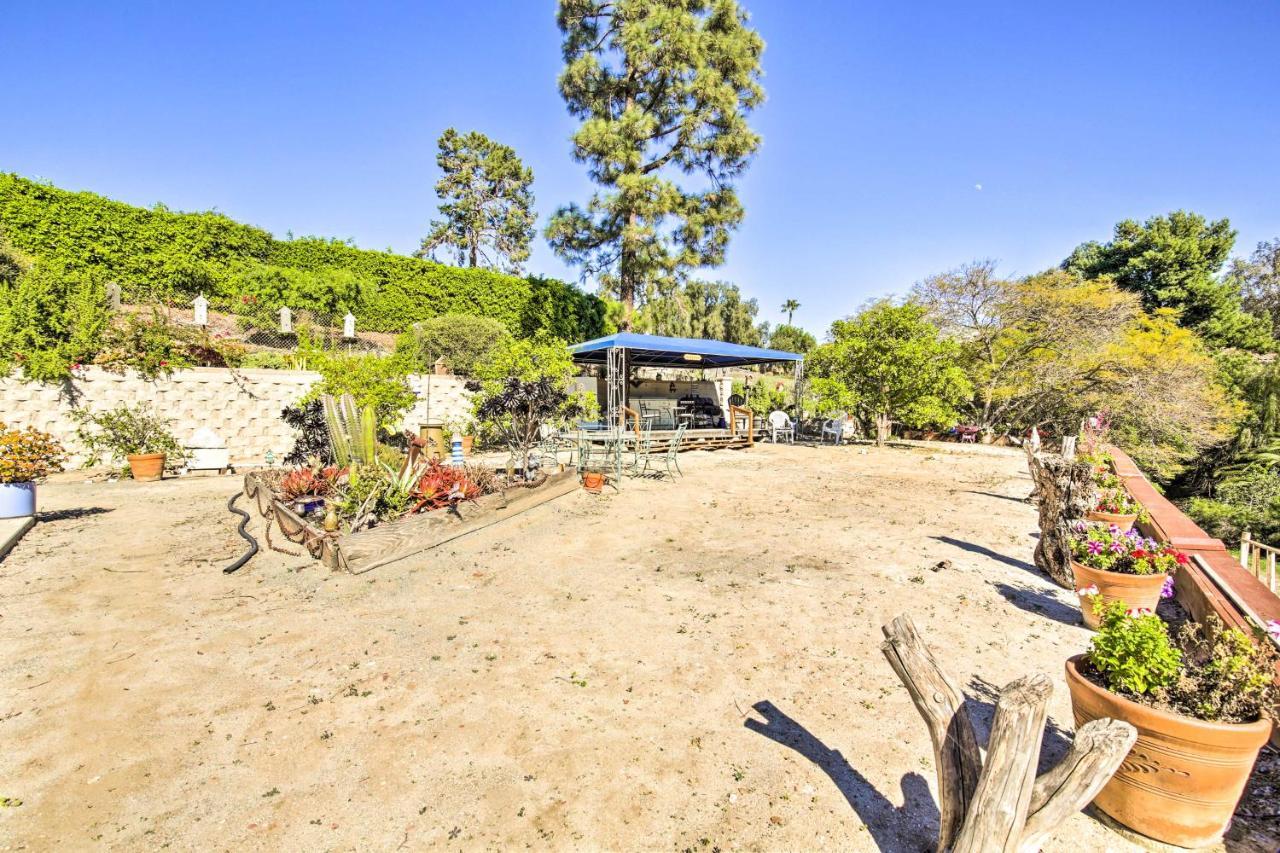 Sunny Bonita Studio About 5 Mi To Historic Dtwn! Exterior photo